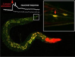 Content Dam Bow Online Articles 2019 03 Ibec Uab Novatecnicainfrarrojos Web2 Content Dam Bow Online Articles 2019 03 Ibec Uab Novatecnicainfrarrojos Web2