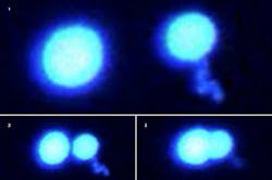 Content Dam Bow Online Articles 2019 03 Laser Tweezers Web Content Dam Bow Online Articles 2019 03 Laser Tweezers Web