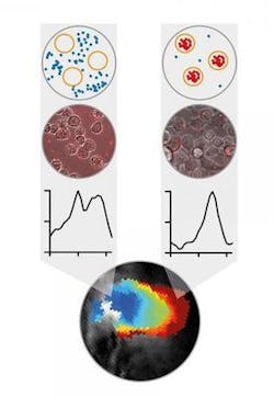 Content Dam Bow Online Articles 2019 03 Rsz 195477 Web Content Dam Bow Online Articles 2019 03 Rsz 195477 Web