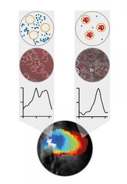 Content Dam Bow Online Articles 2019 03 Rsz 195477 Web Content Dam Bow Online Articles 2019 03 Rsz 195477 Web