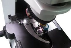 Content Dam Lfw En Articles 2014 05 Integrated Microscope From Stellarnet Couples With Spectrometer Systems Leftcolumn Article Headerimage File Content Dam Lfw En Articles 2014 05 Integrated Microscope From Stellarnet Couples With Spectrometer Systems Leftcolumn Article Headerimage File