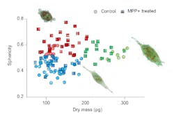 IMAGE: Quantitative characterization of SH-SY5Y cells in the presence of MPP+ is made using Tomocube technology. Red, apoptotic cells; Green, dividing cells; Blue, normal cells. IMAGE: Quantitative characterization of SH-SY5Y cells in the presence of MPP+ is made using Tomocube technology. Red, apoptotic cells; Green, dividing cells; Blue, normal cells.