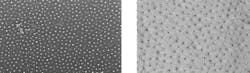 SEM images show graphene quantum dots of various sizes in a stable, ordered array. SEM images show graphene quantum dots of various sizes in a stable, ordered array.