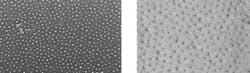 SEM images show graphene quantum dots of various sizes in a stable, ordered array.