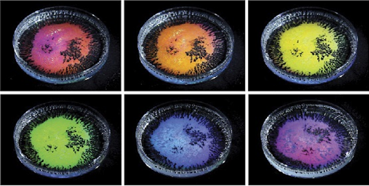 Content Dam Lfw En Articles 2019 03 Structural Color Explains Iridescence From Clear Water Droplets Leftcolumn Article Thumbnailimage File