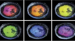 A Petri dish containing transparent droplet emulsions made from a mixture of oils of different density and water-based surfactants is photographed from different angles. When illuminated with white light the oil droplets reflect different colors dependent on the viewing direction. New research explains how this 'structural color' is formed based on the size and curvature of the droplets, along with the droplet's total internal reflection.