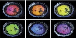 A Petri dish containing transparent droplet emulsions made from a mixture of oils of different density and water-based surfactants is photographed from different angles. When illuminated with white light the oil droplets reflect different colors dependent on the viewing direction. New research explains how this 'structural color' is formed based on the size and curvature of the droplets, along with the droplet's total internal reflection. A Petri dish containing transparent droplet emulsions made from a mixture of oils of different density and water-based surfactants is photographed from different angles. When illuminated with white light the oil droplets reflect different colors dependent on the viewing direction. New research explains how this 'structural color' is formed based on the size and curvature of the droplets, along with the droplet's total internal reflection.