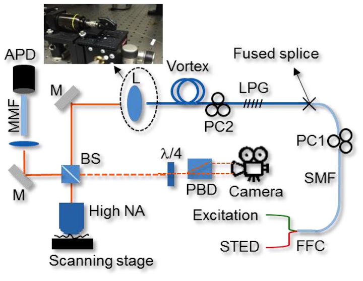 Content Dam Lfw En Articles Print Volume 52 Issue 07 Issue 7 Superresolution Microscopy All Fiber Illumination Brings Superior Stability To Sted Leftcolumn Article Thumbnailimage File
