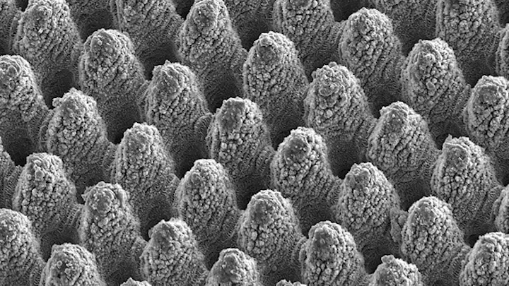 Shown is a laser-machined metal surface with self-cleaning properties. The peak-to-peak distance between the individual structural elements is approximately 10 microns. (Image credit: LAMpAS project)