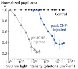 Mice who had retinal photoreceptor-binding upconversion nanoparticles (pbUCNPs, which anchor themselves to the inner and outer segments of both rods and cones) injected into their eyes showed pupil constriction when subjected to IR light at 980 nm, demonstrating that their eyes and brain had detected the IR light. In contrast, mice who had polyacrylic acid-coated upconversion nanoparticles (paaUCNPs, which did not anchor tightly to the rods and cones) injected into their eyes showed the normal visible-light pupil response, but no IR response.