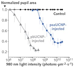 Mice who had retinal photoreceptor-binding upconversion nanoparticles (pbUCNPs, which anchor themselves to the inner and outer segments of both rods and cones) injected into their eyes showed pupil constriction when subjected to IR light at 980 nm, demonstrating that their eyes and brain had detected the IR light. In contrast, mice who had polyacrylic acid-coated upconversion nanoparticles (paaUCNPs, which did not anchor tightly to the rods and cones) injected into their eyes showed the normal visible-light pupil response, but no IR response. Mice who had retinal photoreceptor-binding upconversion nanoparticles (pbUCNPs, which anchor themselves to the inner and outer segments of both rods and cones) injected into their eyes showed pupil constriction when subjected to IR light at 980 nm, demonstrating that their eyes and brain had detected the IR light. In contrast, mice who had polyacrylic acid-coated upconversion nanoparticles (paaUCNPs, which did not anchor tightly to the rods and cones) injected into their eyes showed the normal visible-light pupil response, but no IR response.