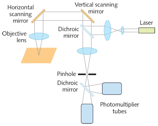 Photomultiplier Tubes Are At The Forefront Of Low Light - 