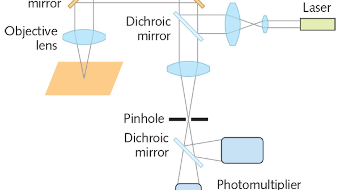FIGURE 1. As seen in this schematic, a confocal laser scanning microscope includes two PMTs for light-sensing.