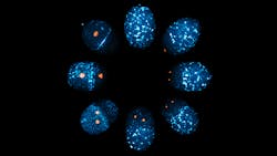 2019 0517 Motegi Cell 5cdf0491e802a 2019 0517 Motegi Cell 5cdf0491e802a