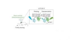 202010 Web 202010 Web