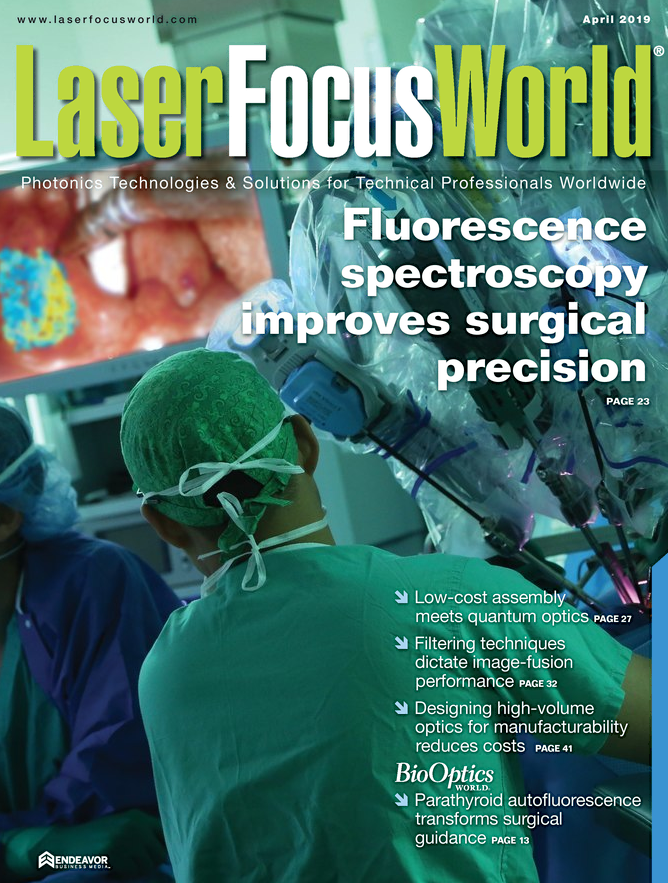 Volume 55, Issue 04 cover image