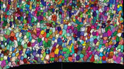 Saber Fish 3 D Cell Segmentation