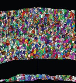 Saber Fish 3 D Cell Segmentation 5ce4512264a03 Saber Fish 3 D Cell Segmentation 5ce4512264a03