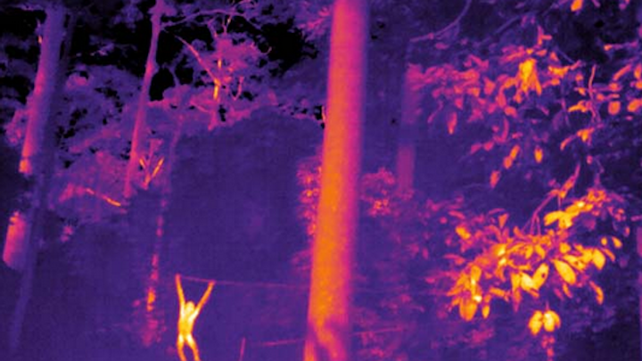 Content Dam Lfw En Articles 2019 04 Thermal Imaging Finds New Applications In Animal Population Monitoring Leftcolumn Article Thumbnailimage File