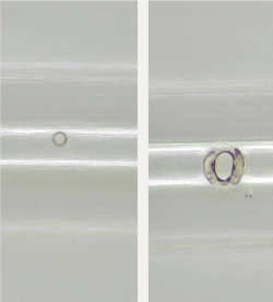 FIGURE 4. A comparison of holes drilled in nylon tubing with a femtosecond laser (a) and a nanosecond laser (b) with a nominal focused spot size of 25 &mu;m in both cases; the nanosecond laser results in a larger, noncircular hole with extensive melting, while the femtosecond laser (with a measured repeatability of &PlusMinus;3.5 &mu;m) had a better machining result. (Courtesy of Blueacre Technology)