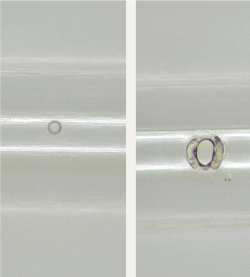 FIGURE 4. A comparison of holes drilled in nylon tubing with a femtosecond laser (a) and a nanosecond laser (b) with a nominal focused spot size of 25 μm in both cases; the nanosecond laser results in a larger, noncircular hole with extensive melting, while the femtosecond laser (with a measured repeatability of ±3.5 μm) had a better machining result. (Courtesy of Blueacre Technology) FIGURE 4. A comparison of holes drilled in nylon tubing with a femtosecond laser (a) and a nanosecond laser (b) with a nominal focused spot size of 25 μm in both cases; the nanosecond laser results in a larger, noncircular hole with extensive melting, while the femtosecond laser (with a measured repeatability of ±3.5 μm) had a better machining result. (Courtesy of Blueacre Technology)