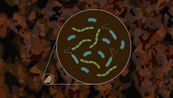 Boncat Animation Ver1 5d12641775bda Boncat Animation Ver1 5d12641775bda