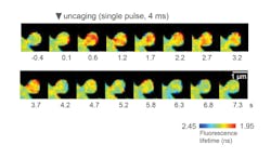 Figure 1500x875 5d152990bf597 Figure 1500x875 5d152990bf597