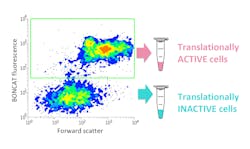 Screen Shot 2019 06 21 At 10 33 15 Am Screen Shot 2019 06 21 At 10 33 15 Am