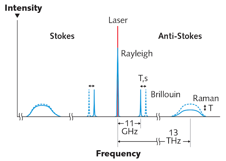 FIGURE 1. A schematic representation details the spectral components of scattered light within an optical fiber.