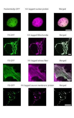 205254 Web 205254 Web