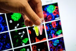 205948 Web 5d2f3d95a2a4d 205948 Web 5d2f3d95a2a4d