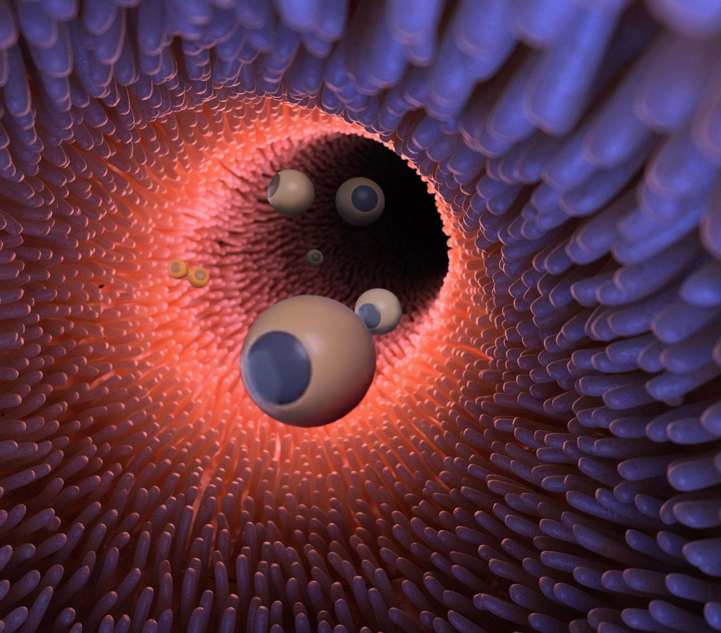 207056 Web 5d3a0b76e6d64