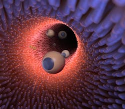 207056 Web 5d3a0b76e6d64 207056 Web 5d3a0b76e6d64