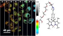 0826 Temp 1 Web 5d5ff72ba8901 0826 Temp 1 Web 5d5ff72ba8901