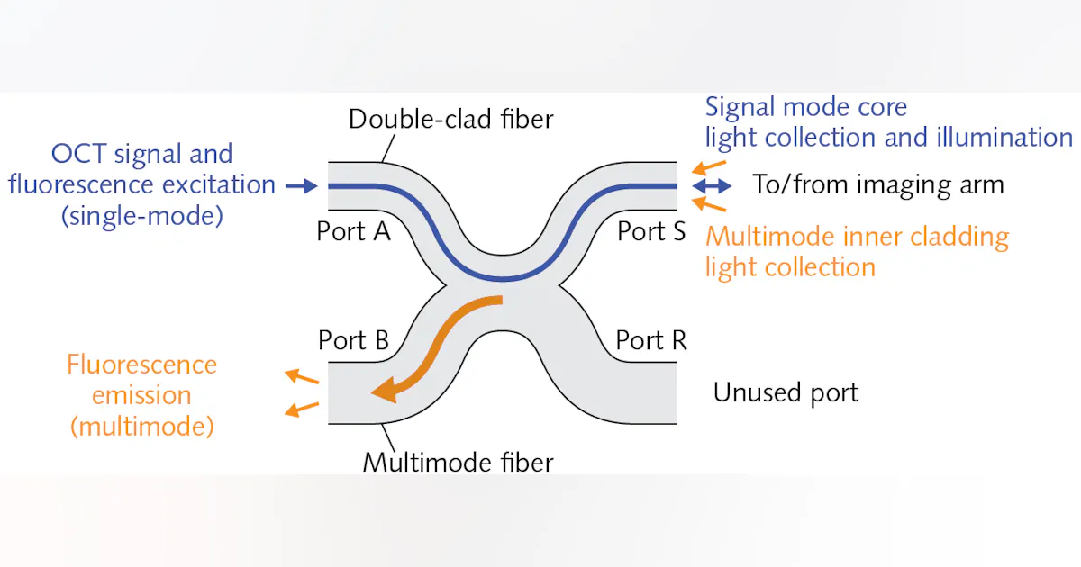 Fiber assembly enables efficient multimodal microscopy | Laser Focus World