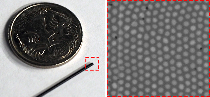 FIGURE 1. The tip of a 30,000-core optical fiber bundle is shown next to an Australian 5 cent coin for scale (left) and a zoomed-in image (right) reveals a small region of the fiber bundle facet (dashed red box in left). Each core is roughly 2 µm in diameter and separated from its neighbors by an average of 3.3 µm.