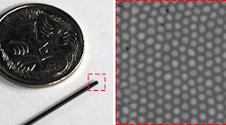 FIGURE 1. The tip of a 30,000-core optical fiber bundle is shown next to an Australian 5 cent coin for scale (left) and a zoomed-in image (right) reveals a small region of the fiber bundle facet (dashed red box in left). Each core is roughly 2 &micro;m in diameter and separated from its neighbors by an average of 3.3 &micro;m.