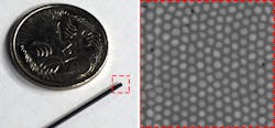 FIGURE 1. The tip of a 30,000-core optical fiber bundle is shown next to an Australian 5 cent coin for scale (left) and a zoomed-in image (right) reveals a small region of the fiber bundle facet (dashed red box in left). Each core is roughly 2 µm in diameter and separated from its neighbors by an average of 3.3 µm. FIGURE 1. The tip of a 30,000-core optical fiber bundle is shown next to an Australian 5 cent coin for scale (left) and a zoomed-in image (right) reveals a small region of the fiber bundle facet (dashed red box in left). Each core is roughly 2 µm in diameter and separated from its neighbors by an average of 3.3 µm.