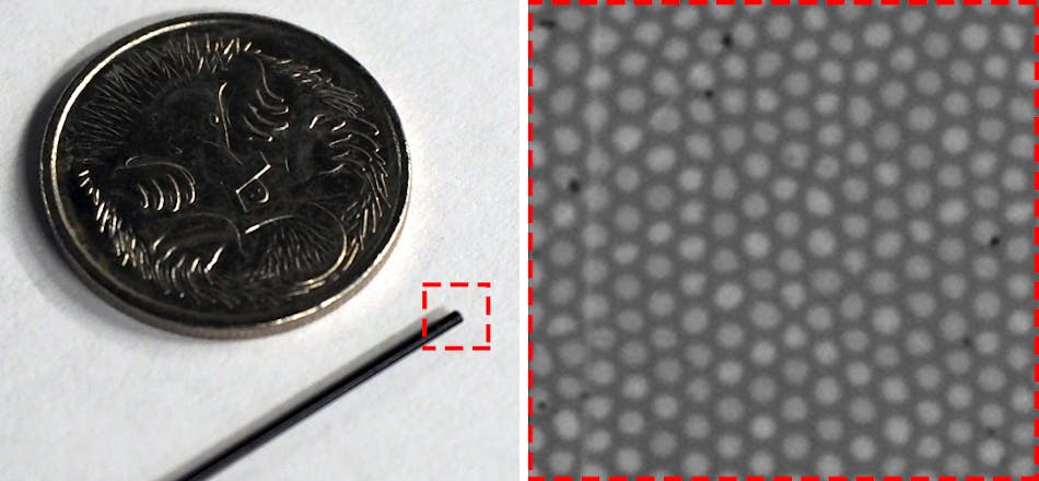 FIGURE 1. The tip of a 30,000-core optical fiber bundle is shown next to an Australian 5 cent coin for scale (left) and a zoomed-in image (right) reveals a small region of the fiber bundle facet (dashed red box in left). Each core is roughly 2 &micro;m in diameter and separated from its neighbors by an average of 3.3 &micro;m.