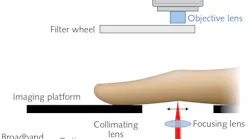 A fast, low-cost, highly sensitive diffuse optical imaging system acquires optical transmission images dorsally to provide objective, quantitative analysis for rheumatoid arthritis (RA) diagnosis and monitoring.