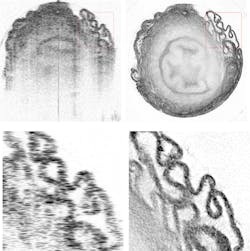 Ocrt Small 5d67e44c579f4 Ocrt Small 5d67e44c579f4