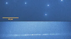 Tracks of heavy ions 'imprinted' in lithium fluoride crystals. At the top, spot tracks observed under a fluorescence microscope in plates perpendicular to the heavy ion beam. At the bottom, the ion tracks in the parallel oriented plate (the blurring at both ends of the trace is an artifact of the depth of focus of the microscope). False colors.