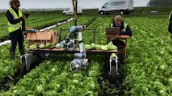 Machine vision can be used to harvest lettuce at the peak of ripeness and make multiple passes over a field, maximizing crop yield. Lettuce is currently picked by hand and the field is passed only once, leaving much of the product behind.