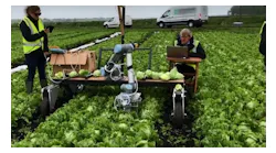 Machine vision can be used to harvest lettuce at the peak of ripeness and make multiple passes over a field, maximizing crop yield. Lettuce is currently picked by hand and the field is passed only once, leaving much of the product behind.