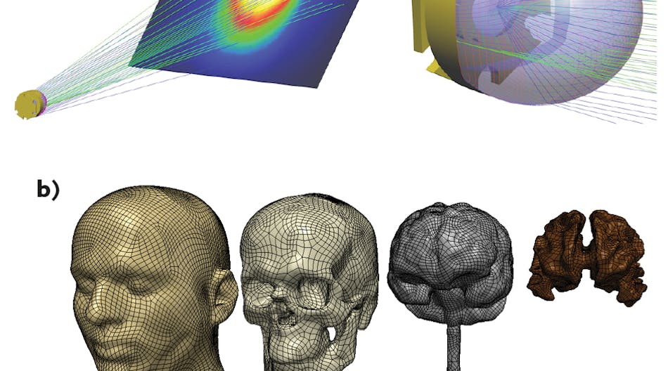 FIGURE 1. These freeform optics were designed in LightTools (a). The software can help identify manufacturing tolerances for tailored surfaces used in freeform optics for illumination. Head models are created from image data using Synopsys Simpleware software (b). Simpleware can be used in conjunction with LightTools to run detailed optical scenarios in 3D anatomical models for biomedical applications.
