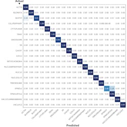 FIGURE 1. In just the past two years, machine learning has made significant progress in application for life sciences. This confusion matrix, a tool used in AI development, demonstrates this progress by reporting prediction accuracy for an algorithm trained to identify 19 cell organelles in biological specimens. With one exception, all objects are predicted here at or near 100% accuracy. FIGURE 1. In just the past two years, machine learning has made significant progress in application for life sciences. This confusion matrix, a tool used in AI development, demonstrates this progress by reporting prediction accuracy for an algorithm trained to identify 19 cell organelles in biological specimens. With one exception, all objects are predicted here at or near 100% accuracy.