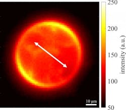 210297 Web 210297 Web