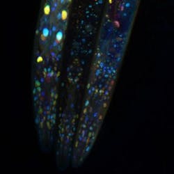 210589 Web 5d7a52b5d364d 210589 Web 5d7a52b5d364d