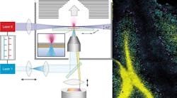 210662 Web 5d727b07d48a9 210662 Web 5d727b07d48a9