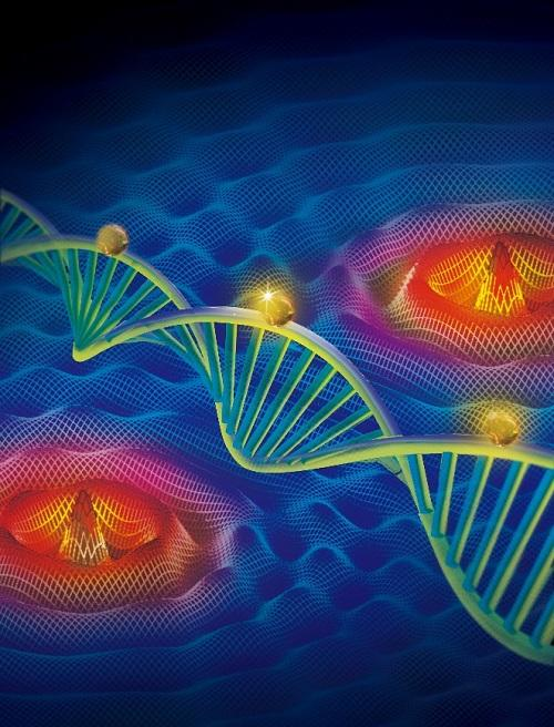 210753 Web 5d77b1ccc9e59